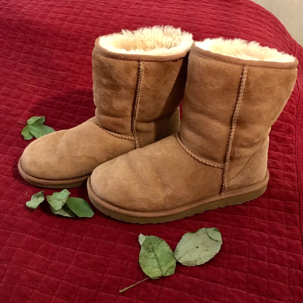 UGGs Classic Short II